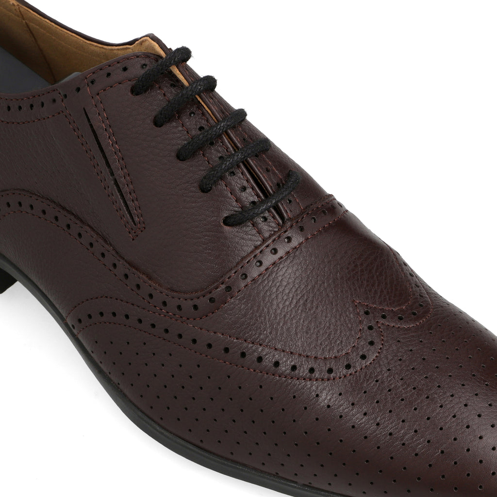Brogue Dotted Oxfords-Brown